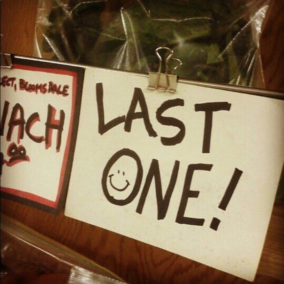 Betsey Johnson Pink Sugar Skull Blanket Queen/Full - Picture 6 of 6